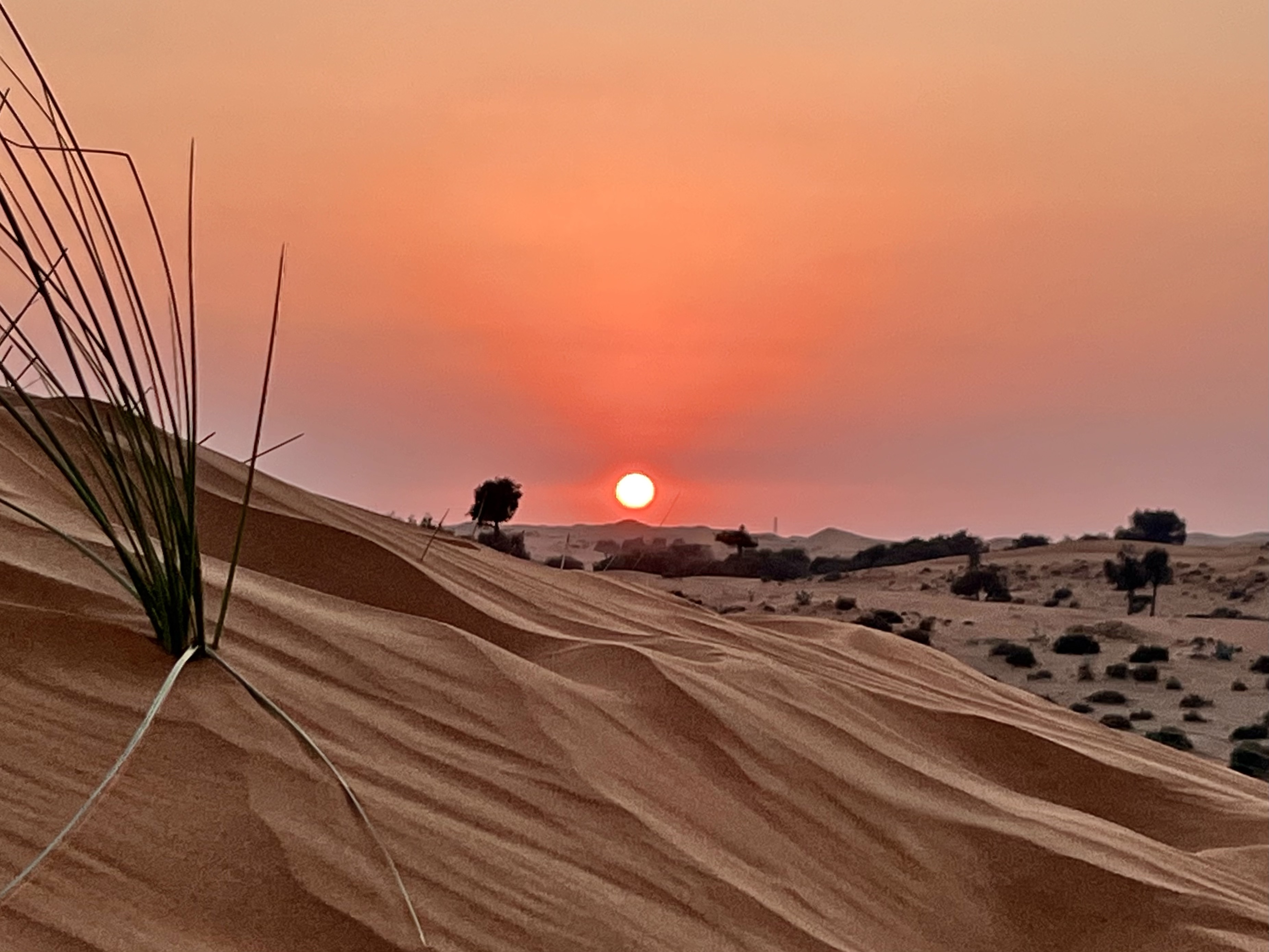 Desert Sunsets, Ras Al Khamiah